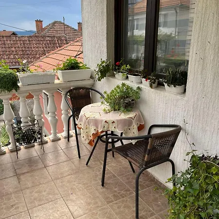 Divna * Tekija (Bor)