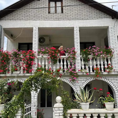 Divna Apartment