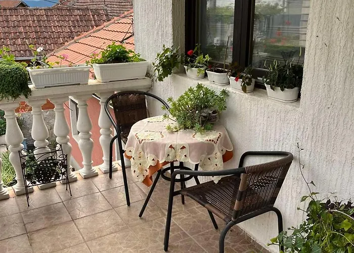 Divna * Tekija (Bor)